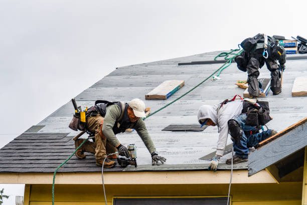Professional Gutter Installation technician working in Watkins, MN